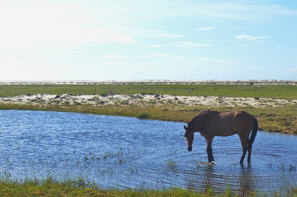 Passeio a cavalo, Atins, foto 2