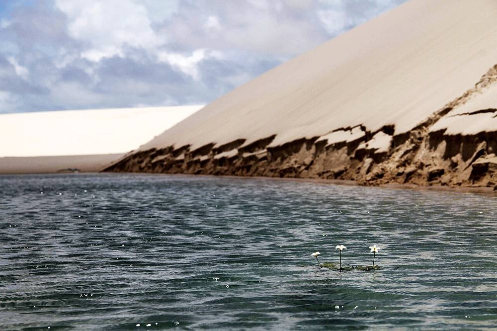 Betânia + Andorinha, Santo Amaro, foto 1