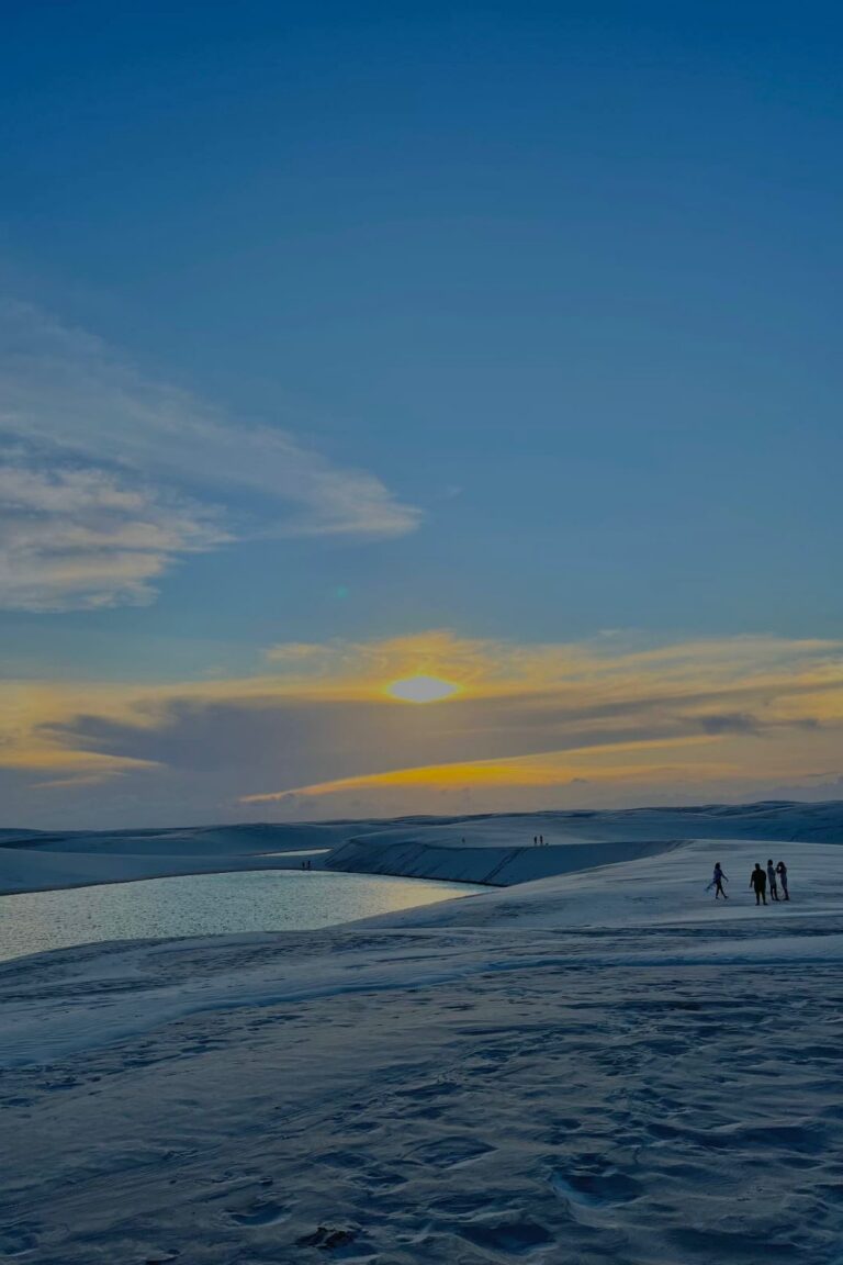 WhatsApp Image 2026-02-19 at 13.44.15