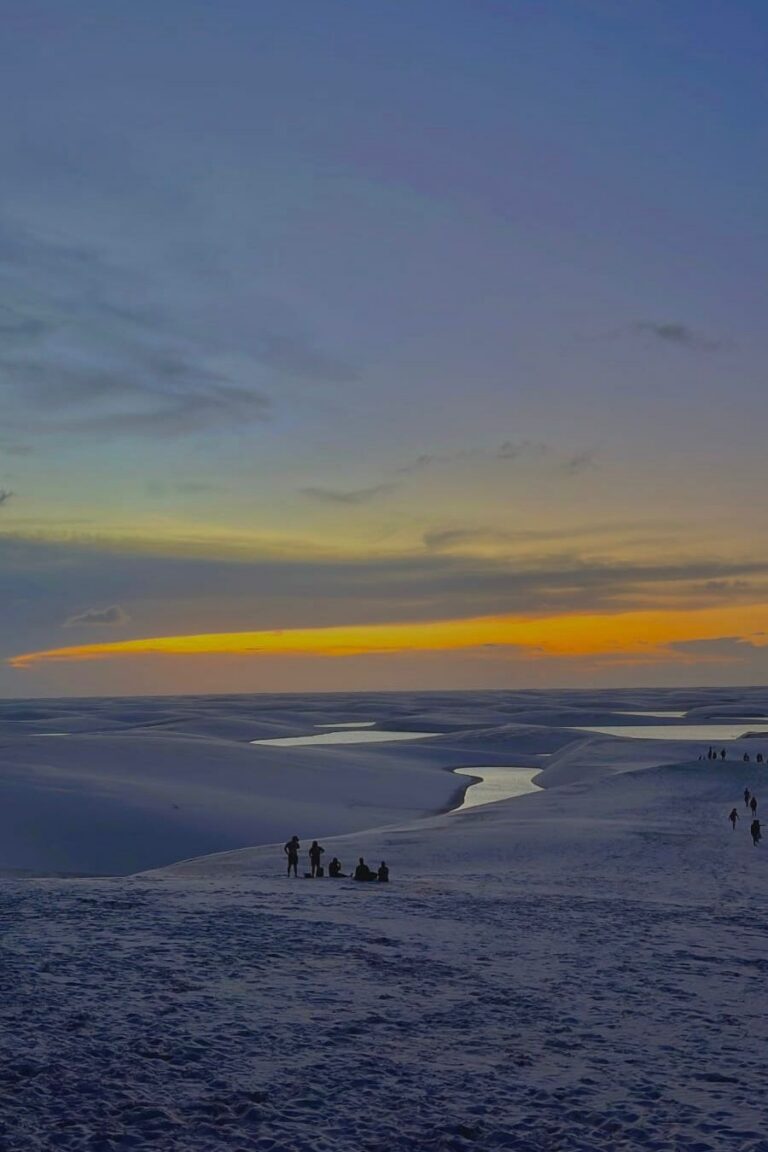 WhatsApp Image 2026-02-19 at 13.44.16 (1)