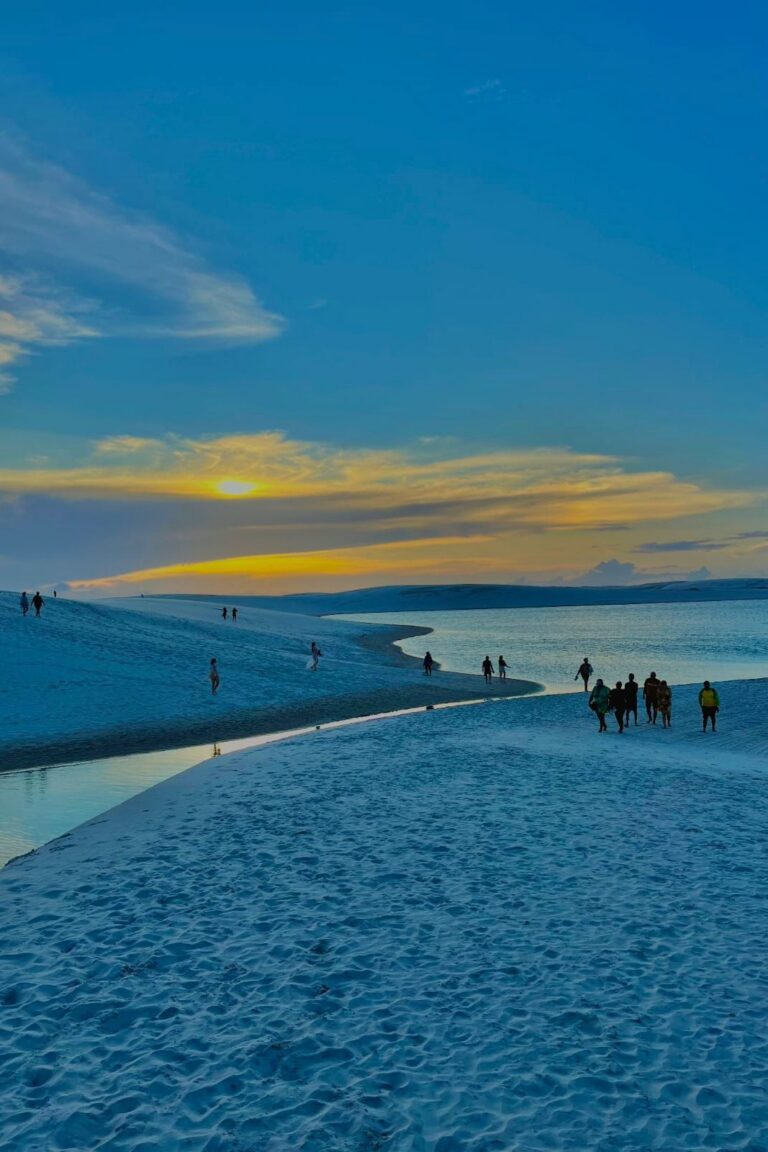 WhatsApp Image 2026-02-19 at 13.44.16