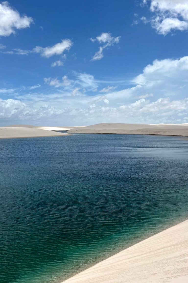 WhatsApp Image 2026-02-19 at 13.44.21