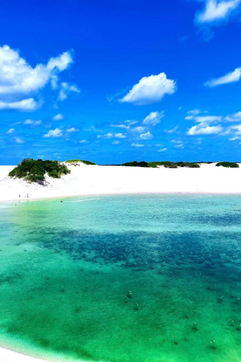 WhatsApp Image 2026-02-19 at 13.44.22 (1)