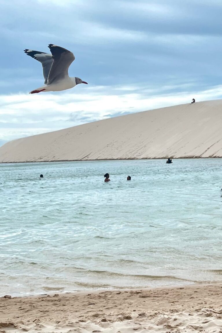 WhatsApp Image 2026-02-19 at 13.44.22 (2)