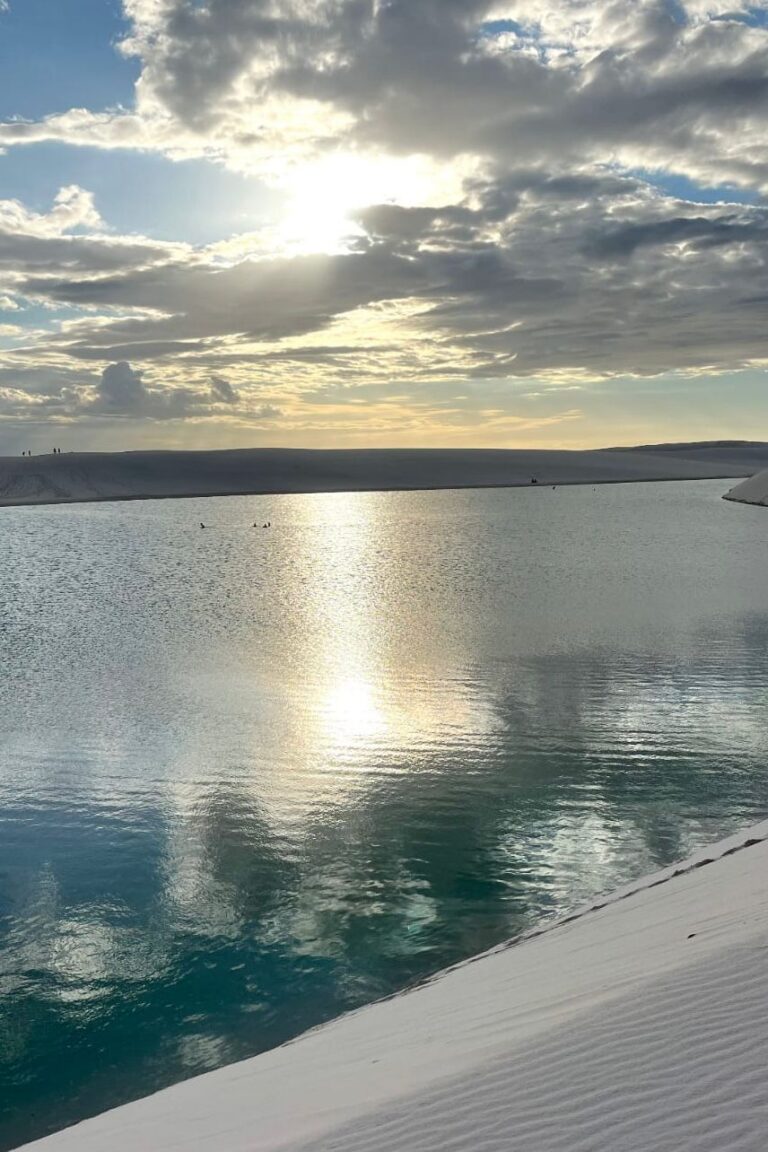 WhatsApp Image 2026-02-19 at 13.44.22 (3)