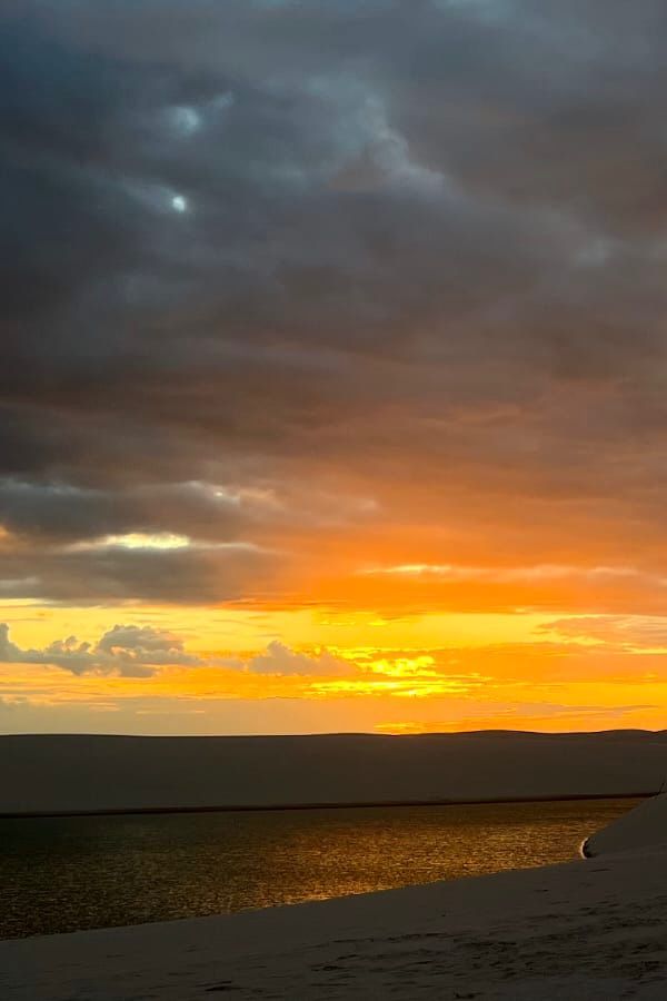 WhatsApp Image 2026-02-19 at 13.44.22 (4)