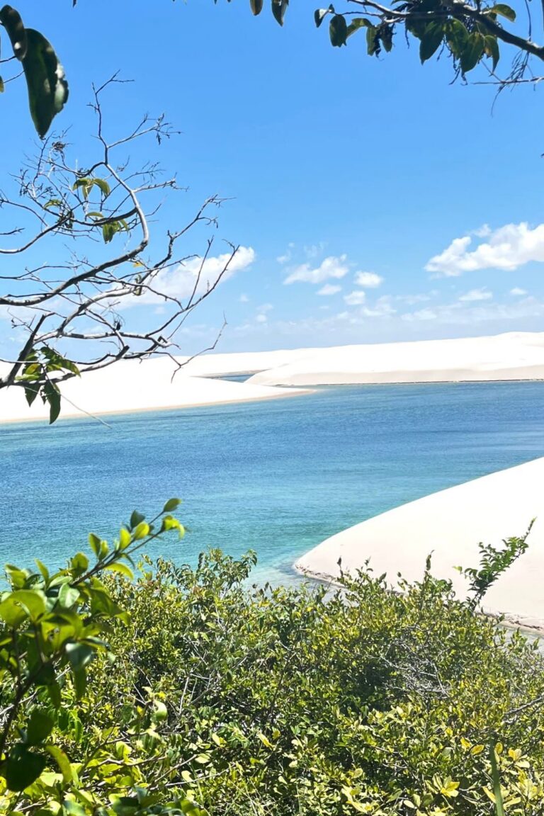 WhatsApp Image 2026-02-19 at 13.44.22 (5)