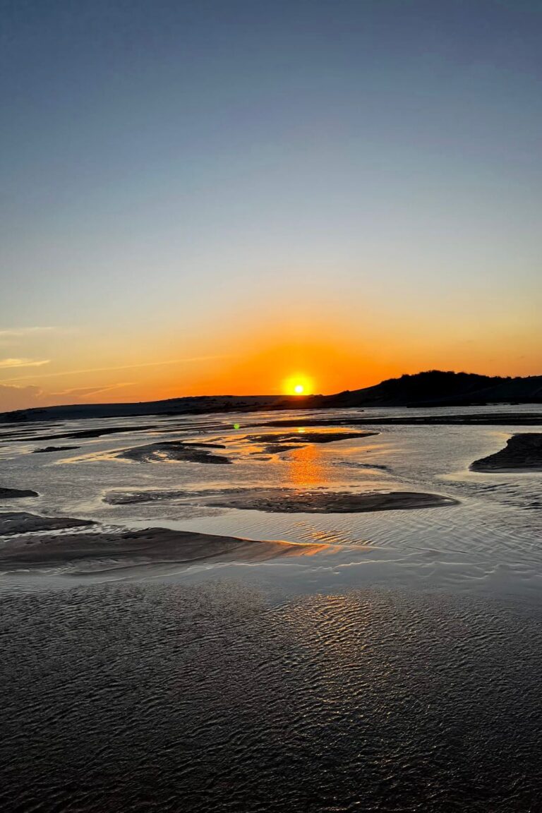 WhatsApp Image 2026-02-19 at 13.44.22