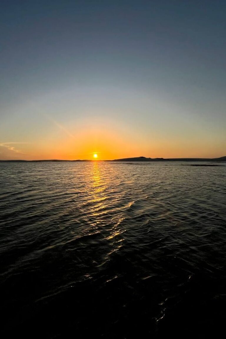 WhatsApp Image 2026-02-19 at 13.44.23 (1)