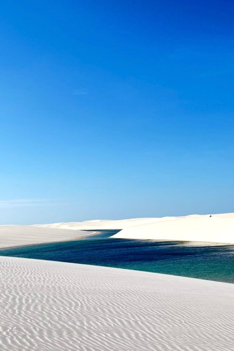 WhatsApp Image 2026-02-19 at 13.44.23 (2)