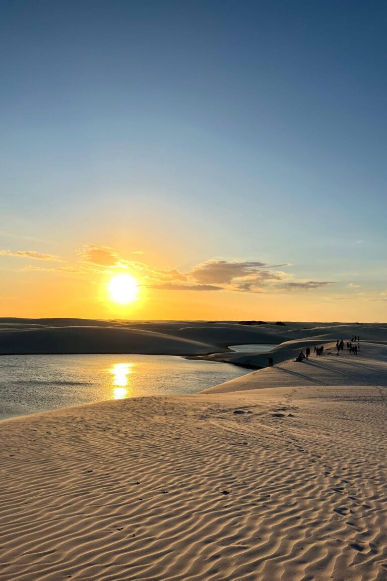 WhatsApp Image 2026-02-19 at 13.44.23