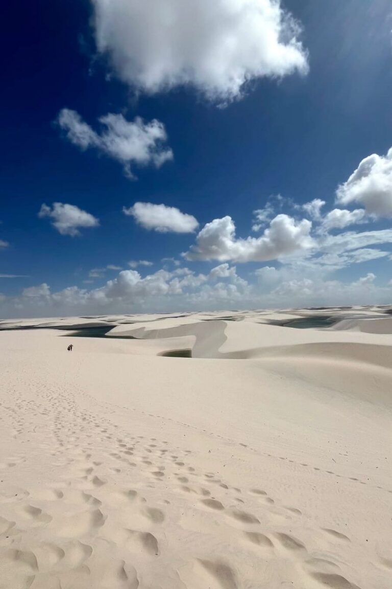 WhatsApp Image 2026-02-19 at 13.44.24 (1)