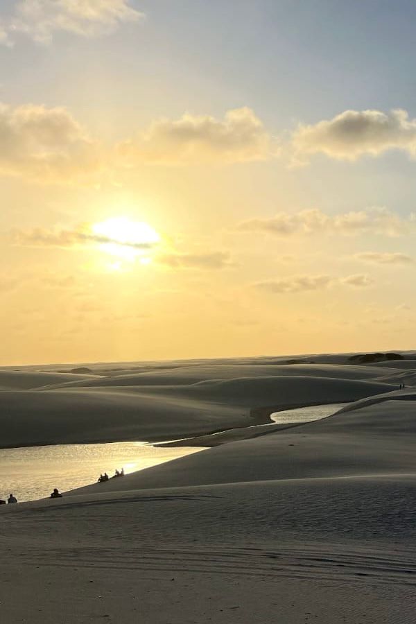 WhatsApp Image 2026-02-19 at 13.44.24 (3)