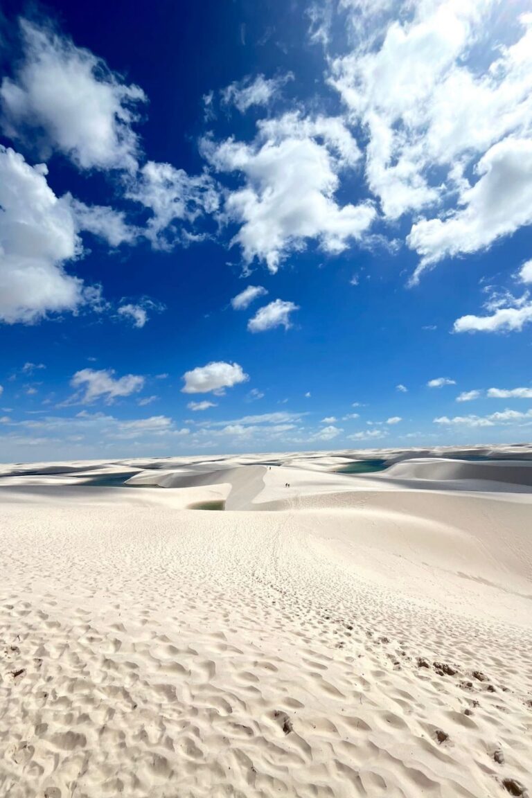 WhatsApp Image 2026-02-19 at 13.44.24 (4)