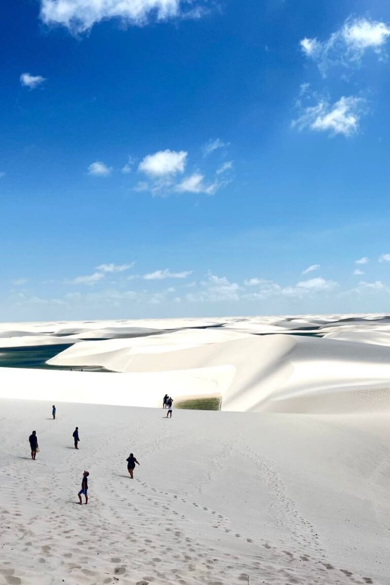 WhatsApp Image 2026-02-19 at 13.44.24 (5)