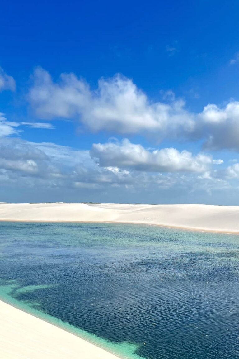 WhatsApp Image 2026-02-19 at 13.44.24