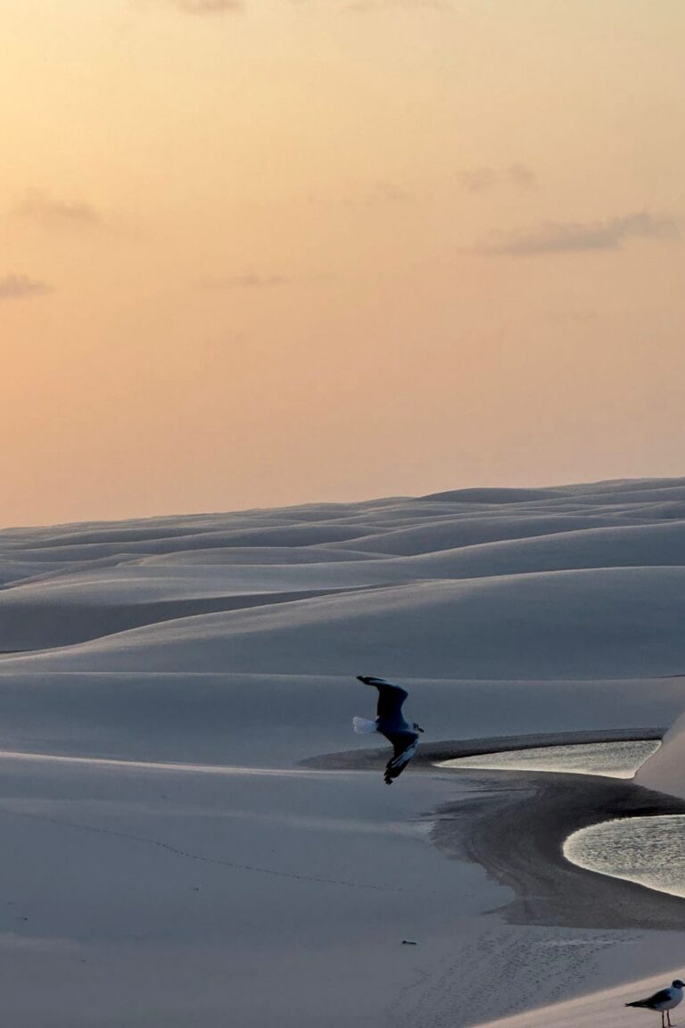 WhatsApp Image 2026-02-19 at 13.44.25 (1)