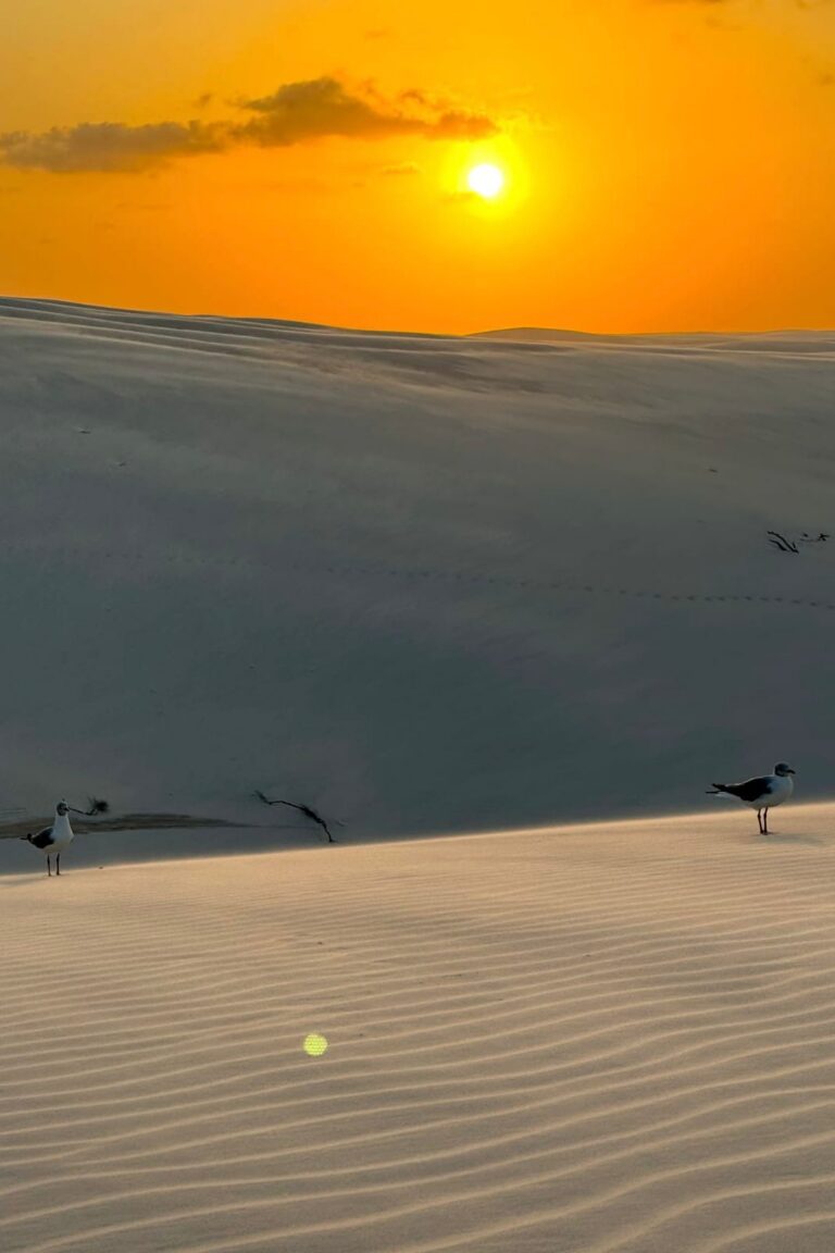 WhatsApp Image 2026-02-19 at 13.44.25 (2)