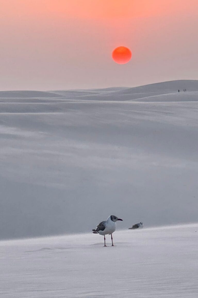 WhatsApp Image 2026-02-19 at 13.44.25 (3)