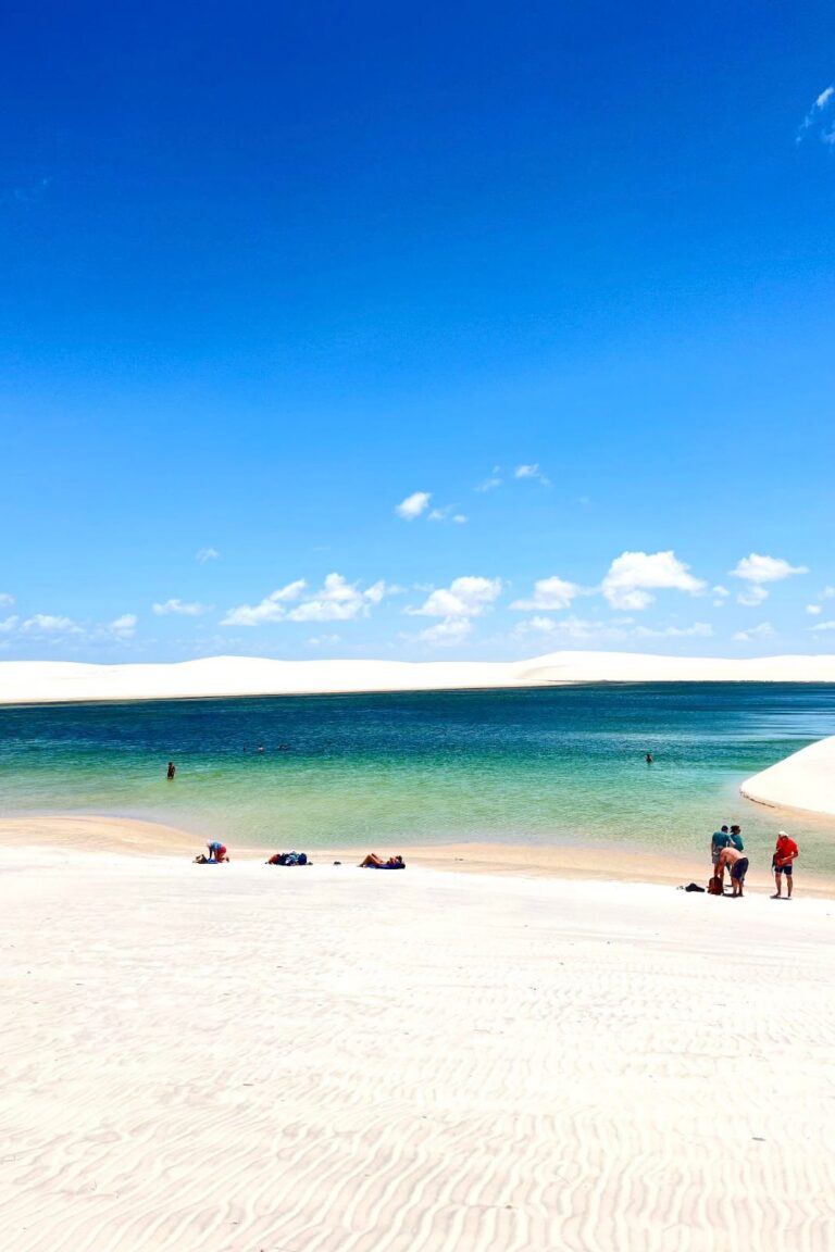 WhatsApp Image 2026-02-19 at 13.44.25